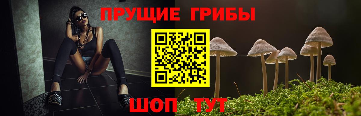 Псилоцибиновые грибы Magic Shrooms  Вход с VPN  Семилуки  Галлюциногенные грибы Cubensis 